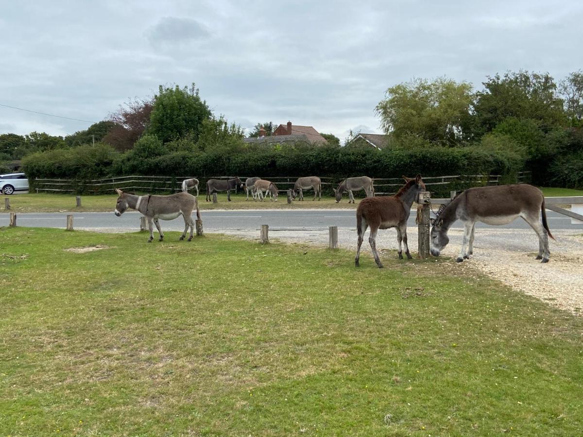 Thatch Cottage, East Boldre Nr Beaulieu And Lymington بروكينهورْسْتْ المظهر الخارجي الصورة